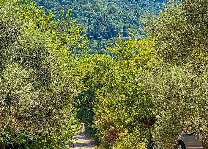 Le Farnete